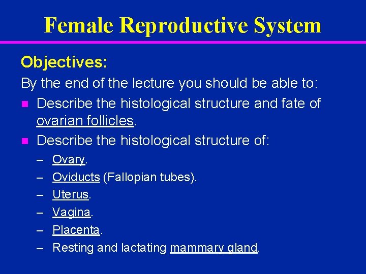 Female Reproductive System Objectives: By the end of the lecture you should be able