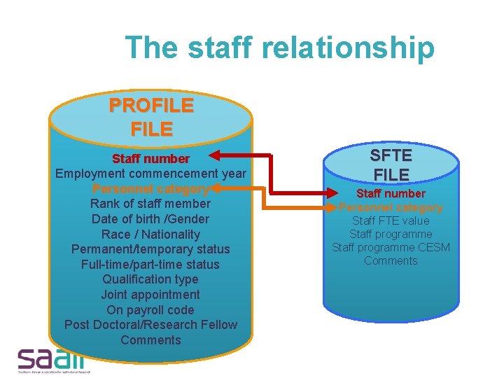 The staff relationship PROFILE Staff number Employment commencement year Personnel category Rank of staff