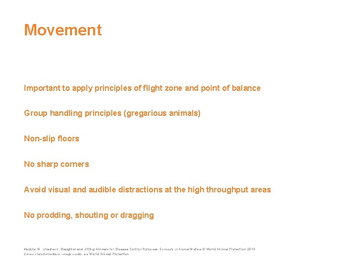 Movement Important to apply principles of flight zone and point of balance Group handling