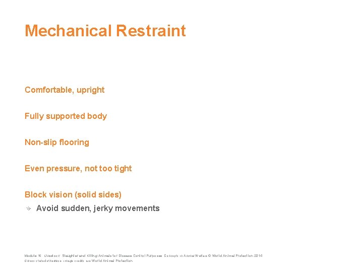 Mechanical Restraint Comfortable, upright Fully supported body Non-slip flooring Even pressure, not too tight