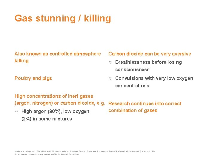 Gas stunning / killing Also known as controlled atmosphere killing Carbon dioxide can be