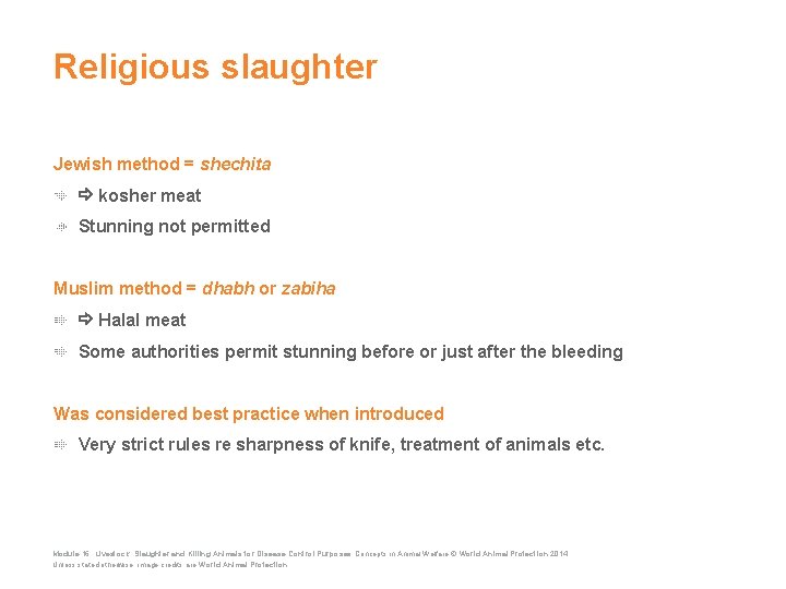 Religious slaughter Jewish method = shechita kosher meat Stunning not permitted Muslim method =