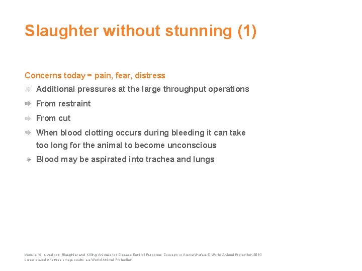 Slaughter without stunning (1) Concerns today = pain, fear, distress Additional pressures at the