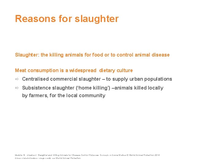 Reasons for slaughter Slaughter: the killing animals for food or to control animal disease