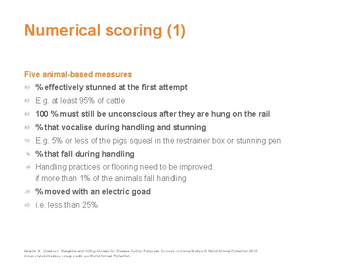 Numerical scoring (1) Five animal-based measures % effectively stunned at the first attempt E.