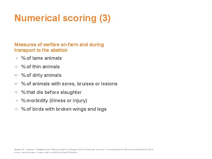 Numerical scoring (3) Measures of welfare on-farm and during transport to the abattoir %