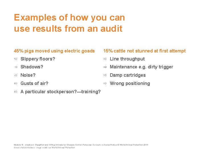 Examples of how you can use results from an audit 45% pigs moved using