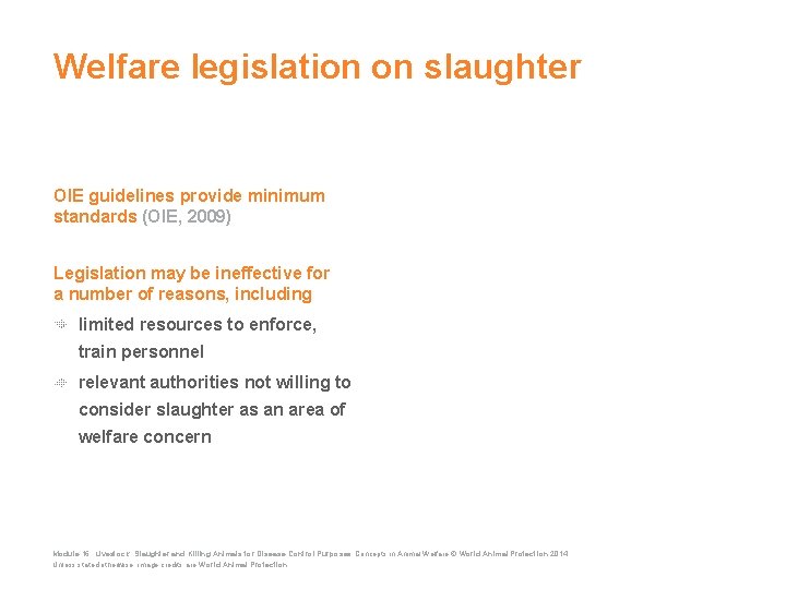 Welfare legislation on slaughter OIE guidelines provide minimum standards (OIE, 2009) Legislation may be