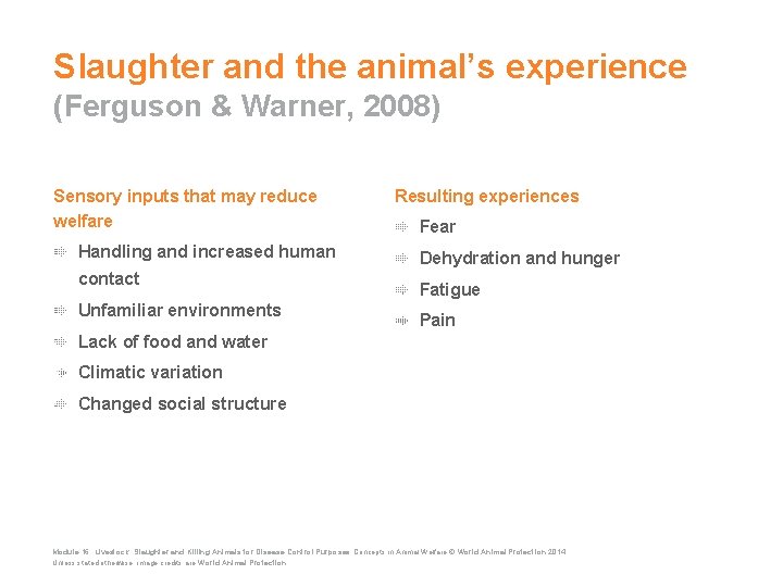 Slaughter and the animal’s experience (Ferguson & Warner, 2008) Sensory inputs that may reduce