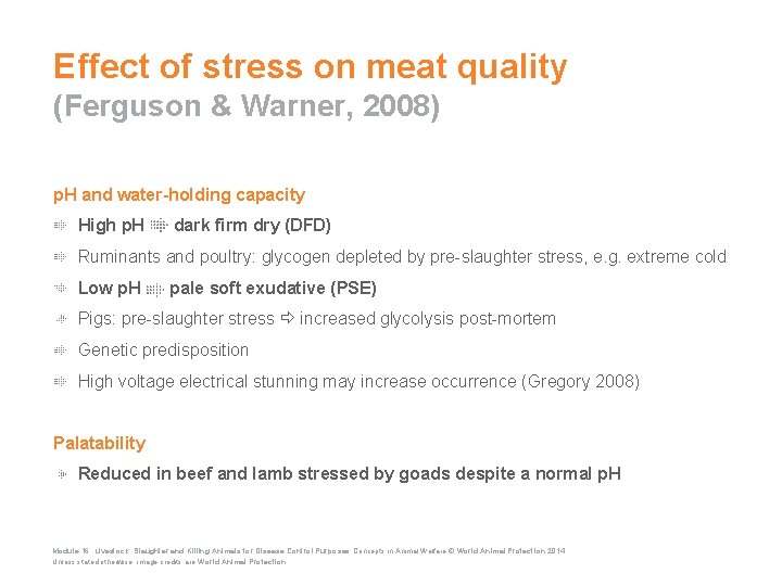 Effect of stress on meat quality (Ferguson & Warner, 2008) p. H and water-holding