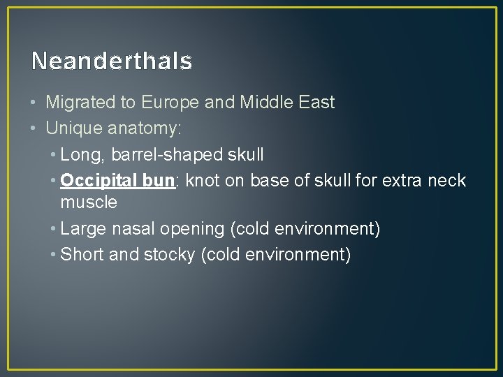 Neanderthals • Migrated to Europe and Middle East • Unique anatomy: • Long, barrel-shaped