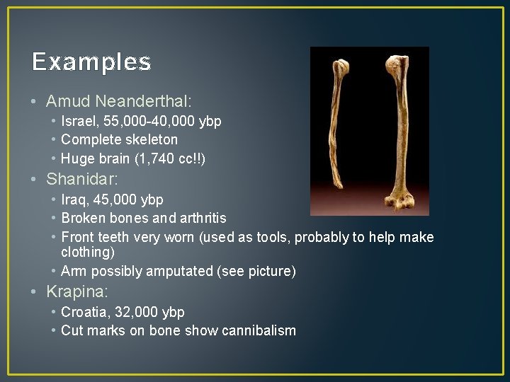 Examples • Amud Neanderthal: • Israel, 55, 000 -40, 000 ybp • Complete skeleton