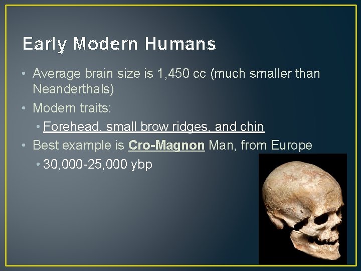 Early Modern Humans • Average brain size is 1, 450 cc (much smaller than