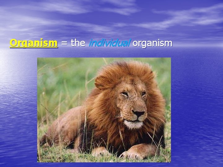 Organism = the individual organism 