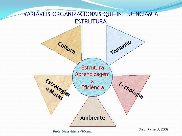 VARIÁVEIS ORGANIZACIONAIS QUE INFLUENCIAM A ESTRUTURA o h n a m a T Cu