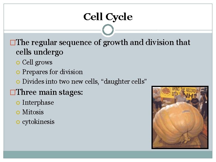 Cell Cycle �The regular sequence of growth and division that cells undergo Cell grows