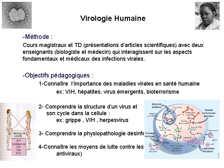 Virologie Humaine -Méthode : Cours magistraux et TD (présentations d’articles scientifiques) avec deux enseignants