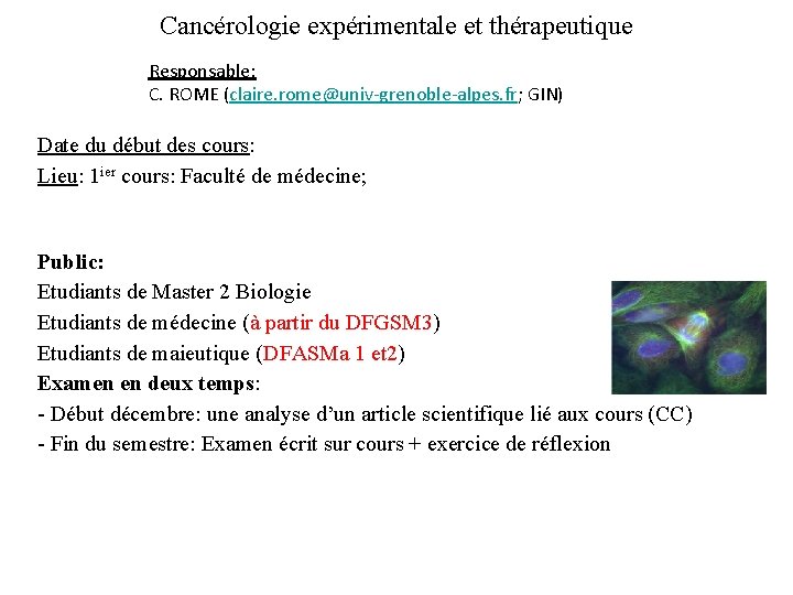 Cancérologie expérimentale et thérapeutique Responsable: C. ROME (claire. rome@univ-grenoble-alpes. fr; GIN) Date du début