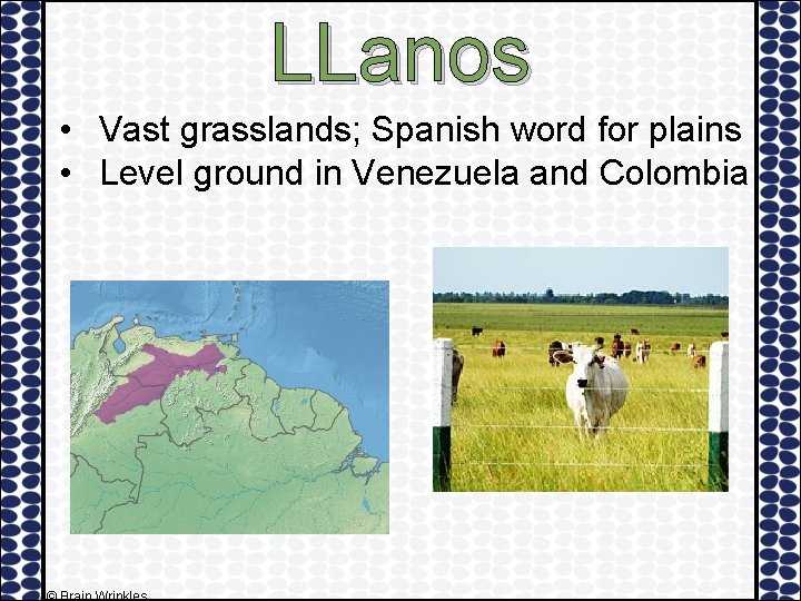 LLanos • Vast grasslands; Spanish word for plains • Level ground in Venezuela and