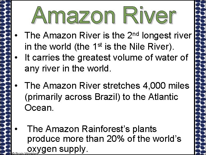 Amazon River • The Amazon River is the 2 nd longest river in the