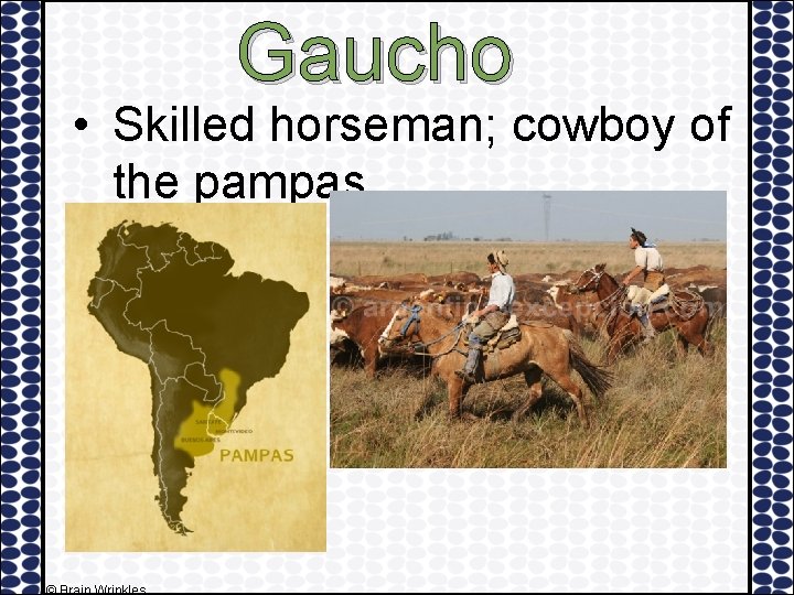 Gaucho • Skilled horseman; cowboy of the pampas • 