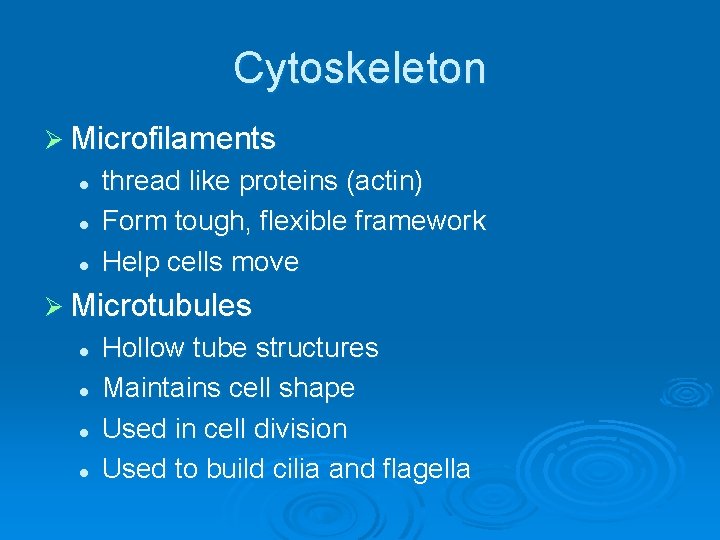 Cytoskeleton Ø Microfilaments l l l thread like proteins (actin) Form tough, flexible framework