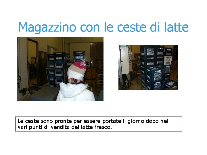 Magazzino con le ceste di latte Le ceste sono pronte per essere portate il