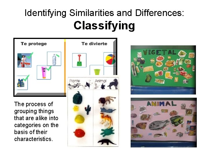 Identifying Similarities and Differences: Classifying The process of grouping things that are alike into