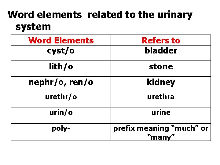 Word elements related to the urinary system Word Elements cyst/o Refers to bladder lith/o