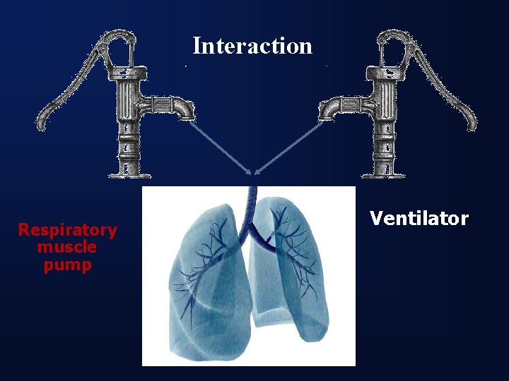 Interaction Respiratory muscle pump Ventilator 