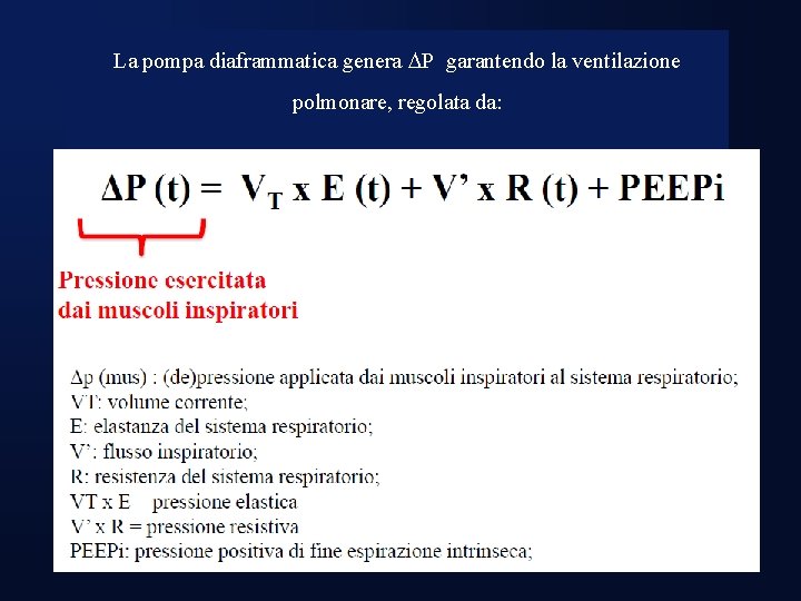 La pompa diaframmatica genera P garantendo la ventilazione polmonare, regolata da: 