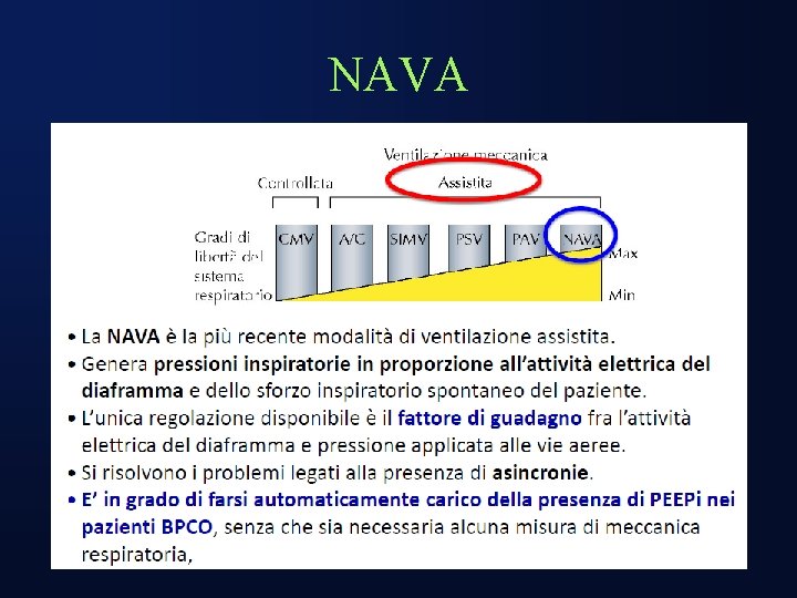 NAVA 