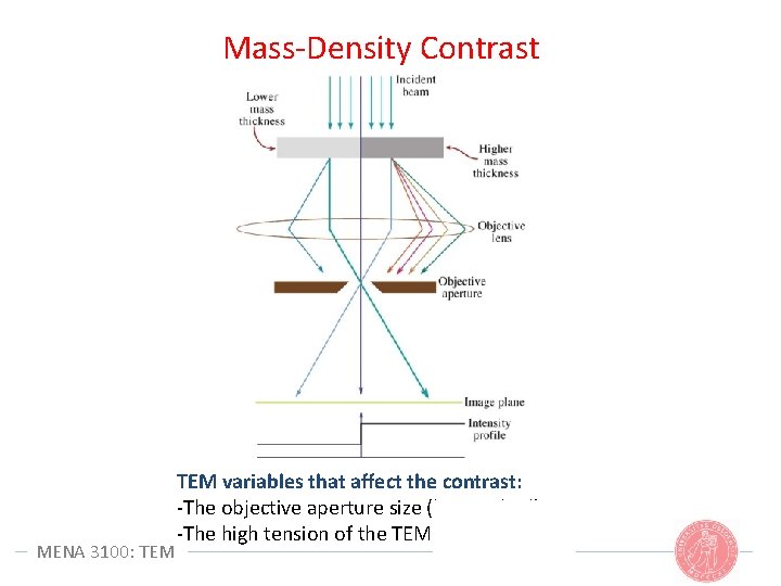Mass-Density Contrast MENA 3100: TEM variables that affect the contrast: -The objective aperture size Mass-Density Contrast MENA 3100: TEM variables that affect the contrast: -The objective aperture size