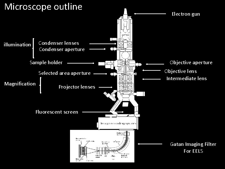 Microscope outline Electron gun Condenser lenses Condenser aperture illumination Sample holder Selected area aperture Microscope outline Electron gun Condenser lenses Condenser aperture illumination Sample holder Selected area aperture