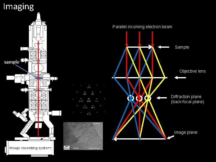 Imaging Parallel incoming electron beam Sample sample Objective lens Diffraction plane (back focal plane) Imaging Parallel incoming electron beam Sample sample Objective lens Diffraction plane (back focal plane)