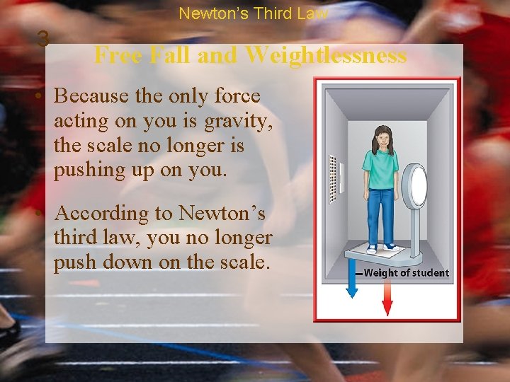 Newton’s Third Law 3 Free Fall and Weightlessness • Because the only force acting