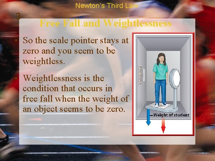 Newton’s Third Law 3 Free Fall and Weightlessness • So the scale pointer stays