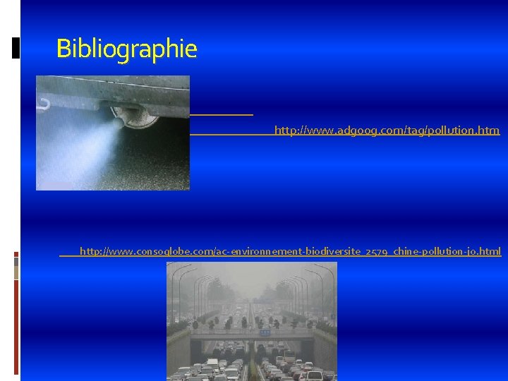 Bibliographie http: //www. adgoog. com/tag/pollution. htm http: //www. consoglobe. com/ac-environnement-biodiversite_2579_chine-pollution-jo. html 