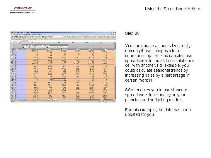 Using the Spreadsheet Add-In Step 22 You can update amounts by directly entering those