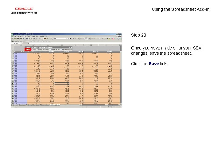 Using the Spreadsheet Add-In Step 23 Once you have made all of your SSAI