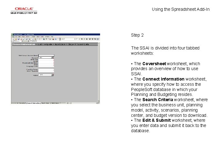 Using the Spreadsheet Add-In Step 2 The SSAI is divided into four tabbed worksheets: