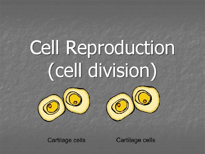Cell Reproduction (cell division) 