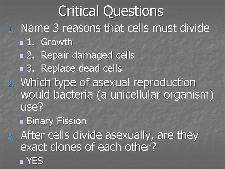 Critical Questions 1. Name 3 reasons that cells must divide n 1. Growth n