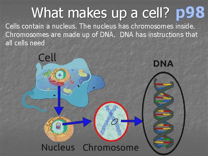 What makes up a cell? p 98 Cells contain a nucleus. The nucleus has