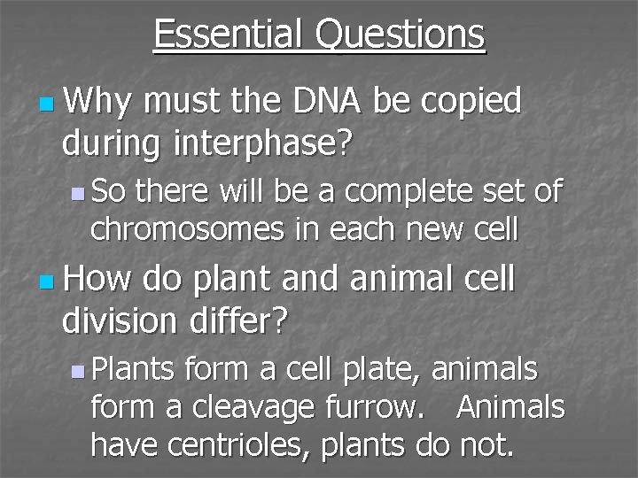 Essential Questions n Why must the DNA be copied during interphase? n So there