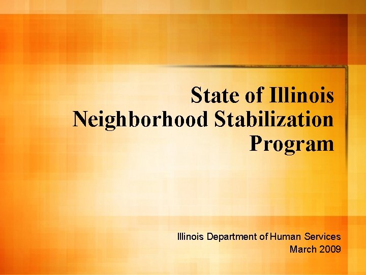 State of Illinois Neighborhood Stabilization Program Illinois Department of Human Services March 2009 