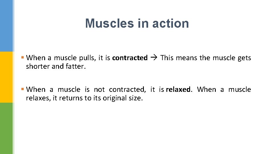Muscles in action § When a muscle pulls, it is contracted This means the
