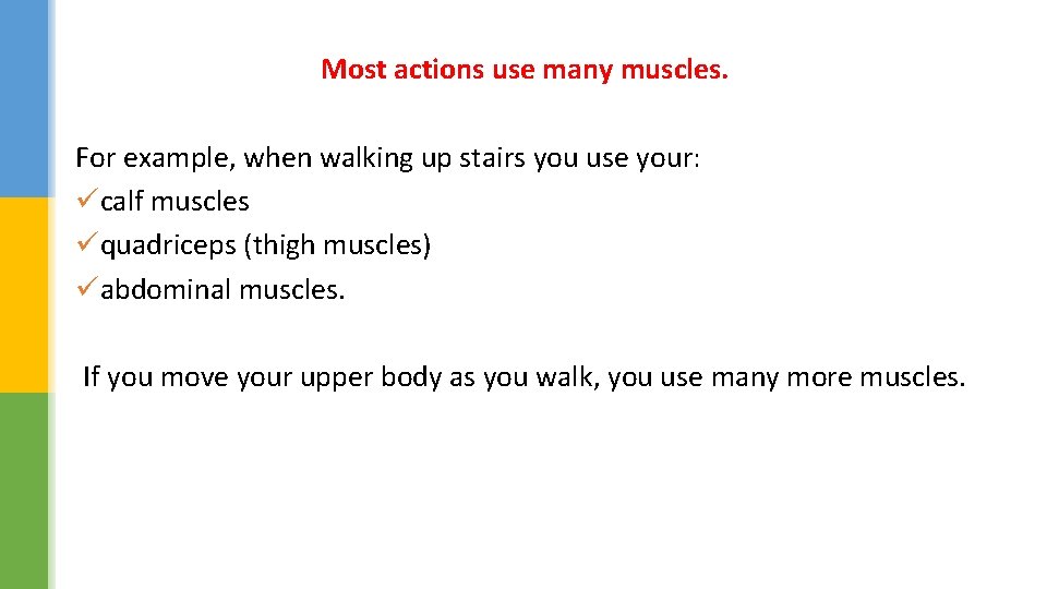 Most actions use many muscles. For example, when walking up stairs you use your: