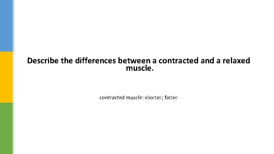 Describe the differences between a contracted and a relaxed muscle. contracted muscle: shorter; fatter