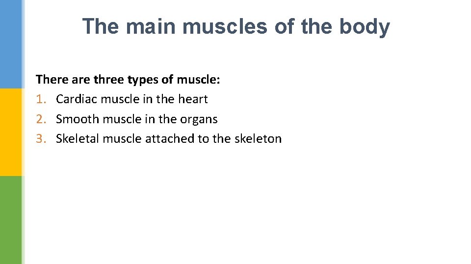 The main muscles of the body There are three types of muscle: 1. Cardiac